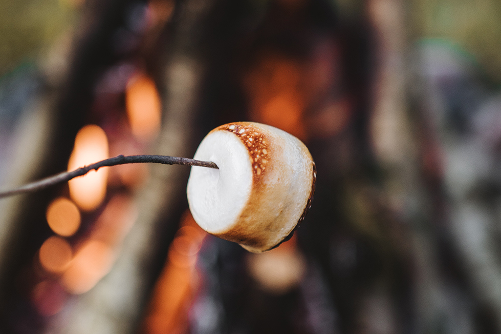 Foto på en marshmallow på en pinne ovanför en eld.