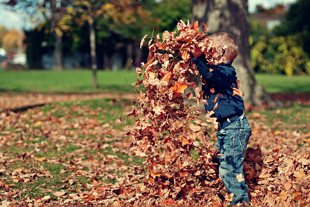 Foto på ett barn som leker med löv som samlats i en hög. Foto: Scott Webb, Unsplash