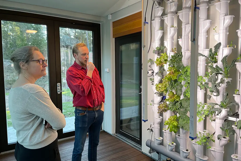 En kvinna och en man tittar på en vägg med växter - hydroponisk odling